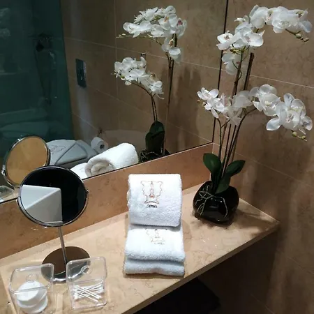 Apartment Janus Premier